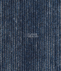 Ковровая плитка IVC Shared Path на акустической основе Echo Acoustic 569 фото 1 | FLOORDEALER